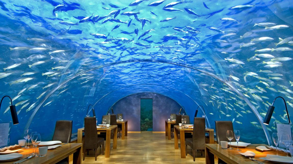 Ithaa undersea restaurant, maldives