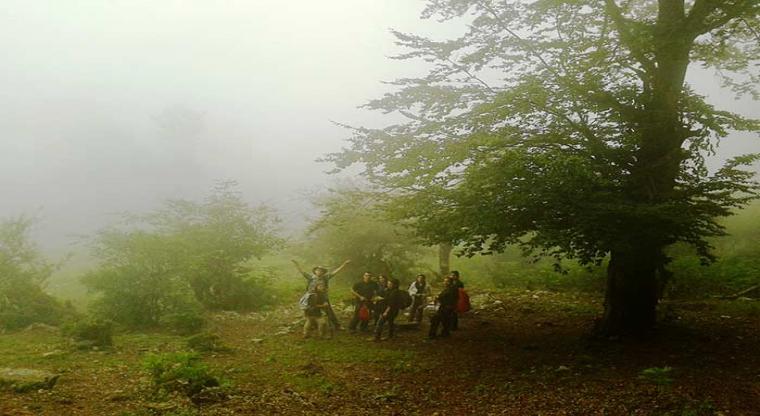 تور یک روزه جنگل ارفع ده و چشمه پراو |هفته اول اردیبهشت|