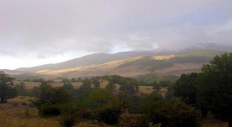  تور جنگل ابر و چشمه های باداب سورت(3) |تور نوروز 94|