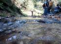 جنگل لاجیم و آبشار ولیلا تور یک روزه