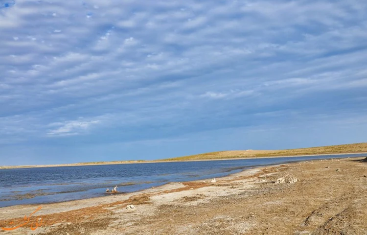 طبیعت ازبکستان