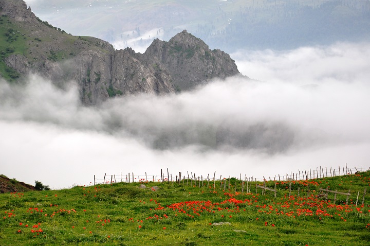 تور سوباتان