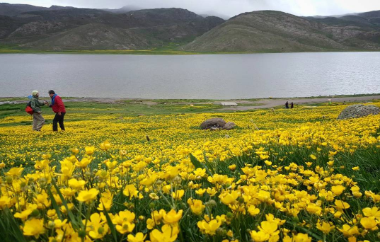 تور سوباتان