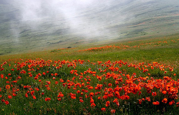 تور سوباتان