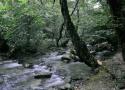 تور رودخانه‎نوردی در جنگل های دیورش |هفته سوم مهر|