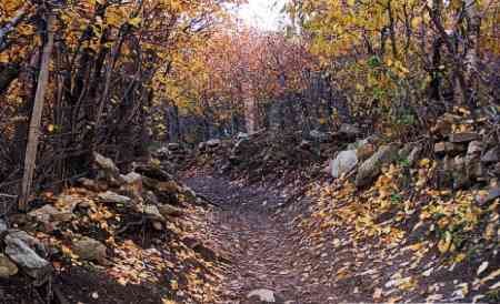 آهار به شکراب، جشنواره برگ ریزان، تور یک روزه آهار به شکراب، جشنواره برگ ریزان، تور یک روزه