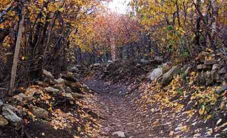 آهار به شکراب تور یک روزه آهار به شکراب تور یک روزه