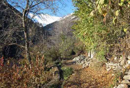 آهار به شکراب تور یک روزه آهار به شکراب تور یک روزه