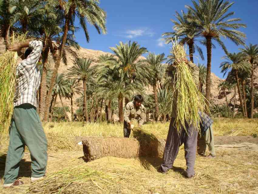 روستای توریستی ازمیغان روستای توریستی ازمیغان