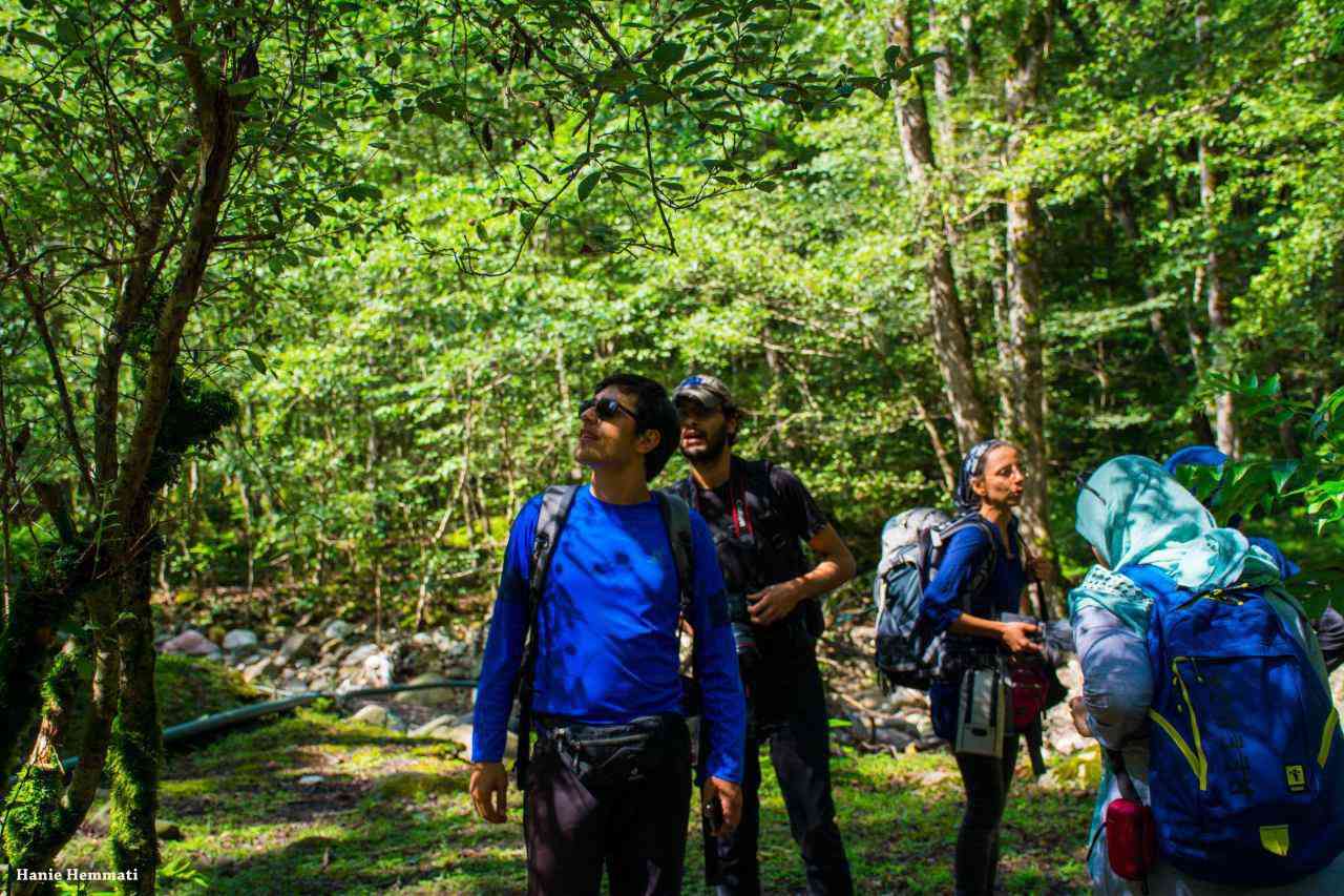 تور یک روزه جنگل سرپوش تنگه |یک سفر یک کتاب با نسیم مرعشی| تور یک روزه جنگل سرپوش تنگه |یک سفر یک کتاب با نسیم مرعشی|