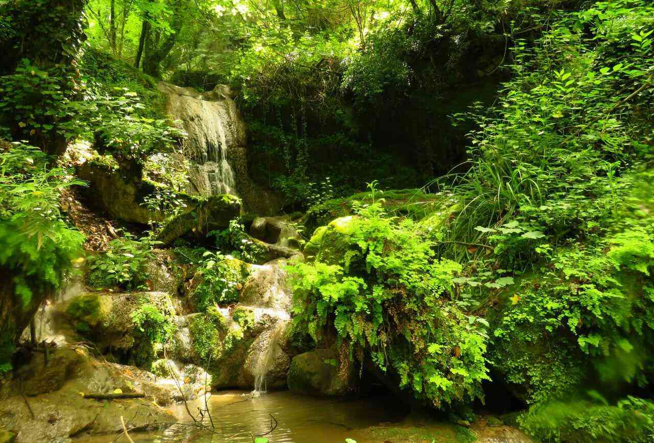 تور یک روزه | آبشار عروس دامن | تور یک روزه | آبشار عروس دامن |