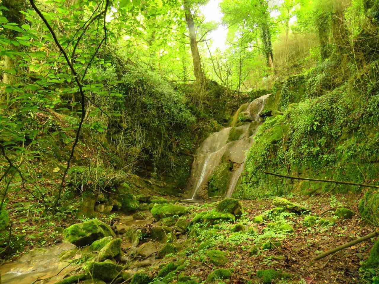 تور یک روزه | آبشار عروس دامن | تور یک روزه | آبشار عروس دامن |