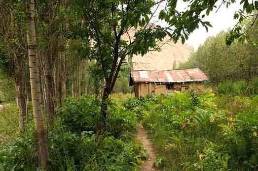 تور یک روزه آبشار لاسم و آبشار شمس آباد |هفته چهارم خرداد| تور یک روزه آبشار لاسم و آبشار شمس آباد |هفته چهارم خرداد|