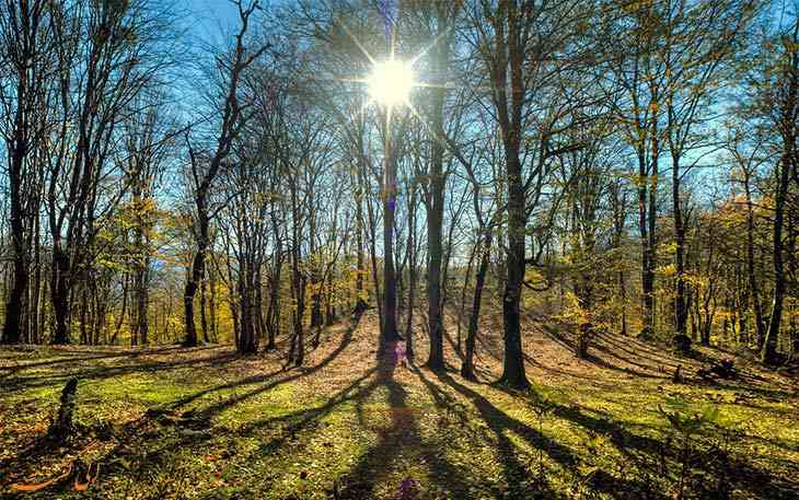 تور یک روزه | مرداب هسل | تور یک روزه | مرداب هسل |