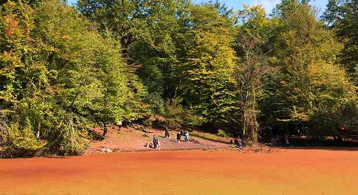 تور یک روزه | مرداب هسل | تور یک روزه | مرداب هسل |