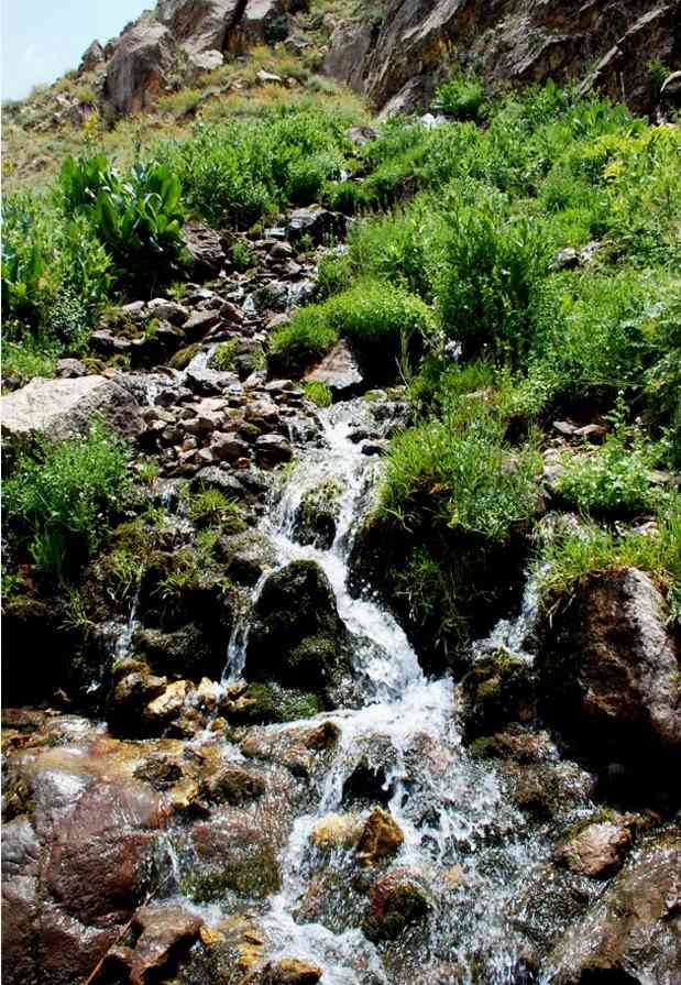 رودخانه نوردی آب مراد تور یک روزه رودخانه نوردی آب مراد تور یک روزه