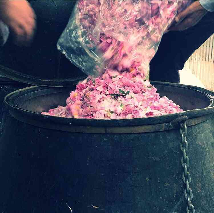 تور گلابگیری تور گلابگیری