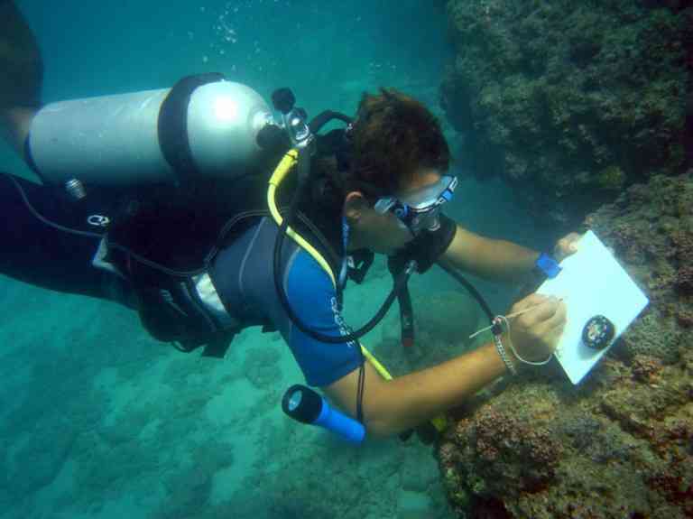 تور آموزش غواصی در خلیج فارس تور آموزش غواصی در خلیج فارس