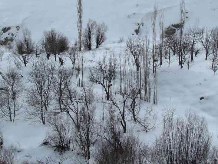 تور یک روزه غار یخ مراد |هفته دوم اسفند|  تور یک روزه غار یخ مراد |هفته دوم اسفند|