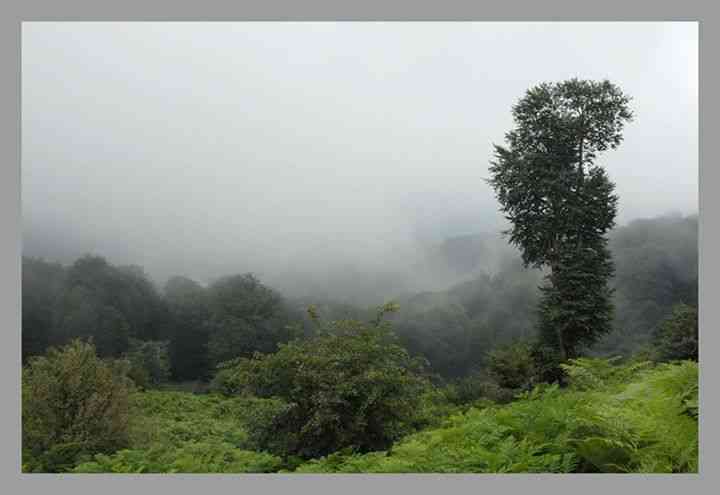 ماسال و اولسبلانگاه  ماسال و اولسبلانگاه