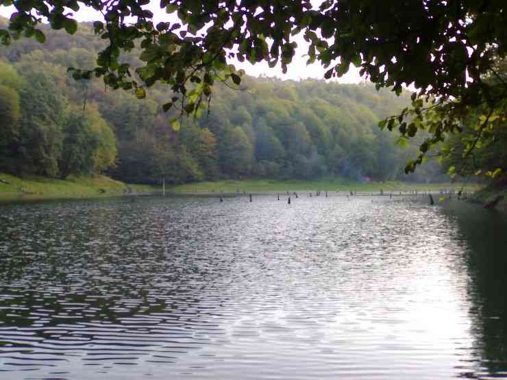 باداب سورت و دریاچه الندان |تور نوروز 95| اجرای اول باداب سورت و دریاچه الندان |تور نوروز 95| اجرای اول