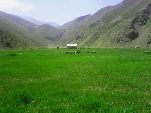 تور یک روزه نمارستاق و دشت دریوک|هفته سوم تیر| تور یک روزه نمارستاق و دشت دریوک|هفته سوم تیر|