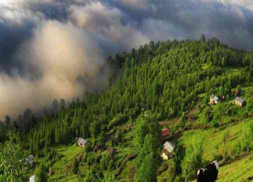 تور رامسر,نمکآبرود,لاهیجان |تور نوروز 95| تور رامسر,نمکآبرود,لاهیجان |تور نوروز 95|