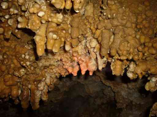 یک سفر یک کتاب|غار بورنیک| یک سفر یک کتاب|غار بورنیک|