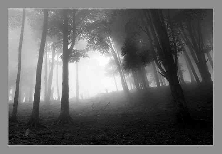 ماسال و اولسبلانگاه  ماسال و اولسبلانگاه