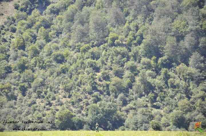 دریاسر و غار آبی دانیال، تور دریاسر و غار آبی دانیال، تور