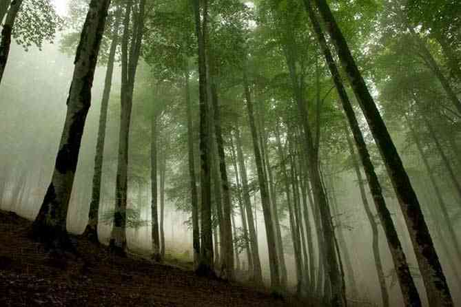 تور ماسال و ییلاق اولسبلانگاه |تور تعطیلات اردیبهشت| تور ماسال و ییلاق اولسبلانگاه |تور تعطیلات اردیبهشت|