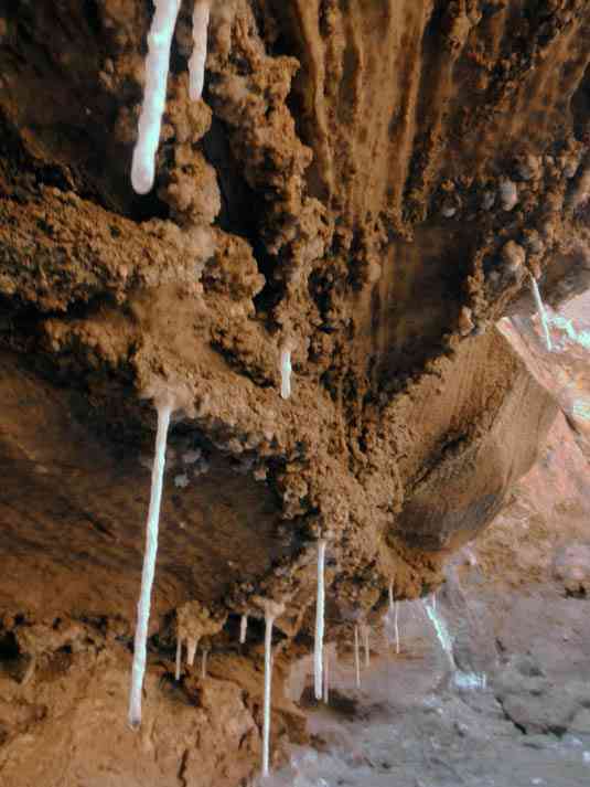 تور یکروزه تپه های مریخی  تور یکروزه تپه های مریخی