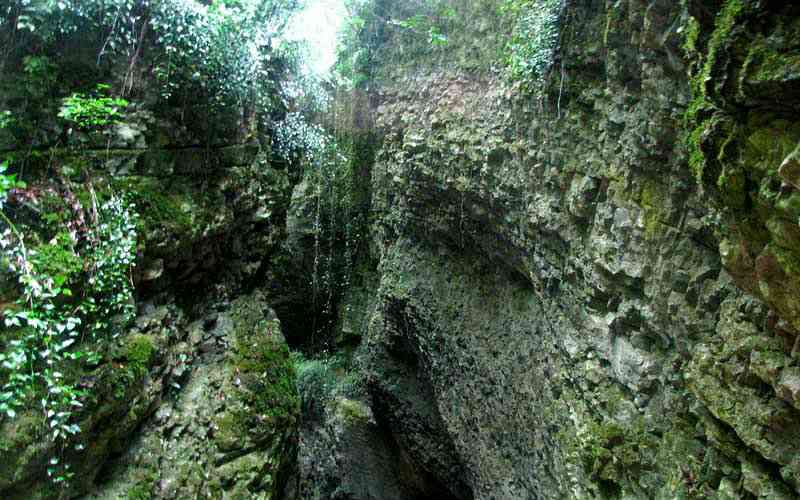 تور یک روزه جنگل سرپوش تنگه |تور تعطیلات مرداد| تور یک روزه جنگل سرپوش تنگه |تور تعطیلات مرداد|