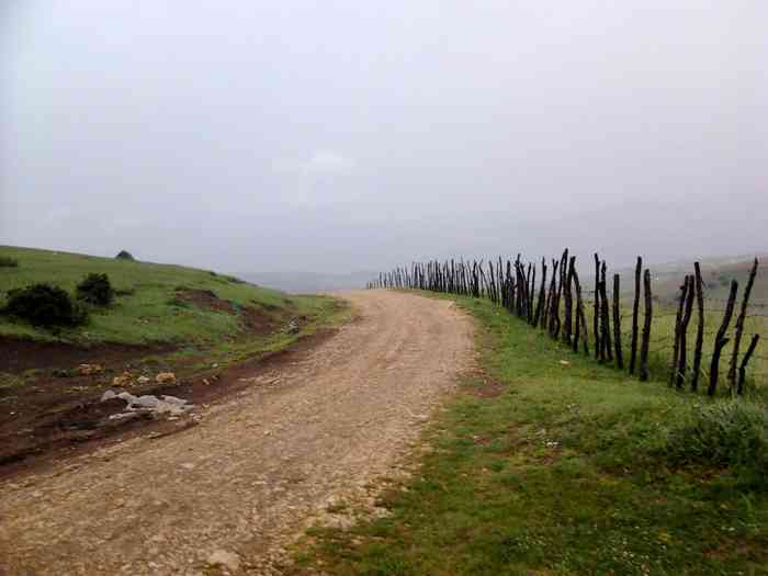 تور ییلاقات دیلمان تا درفک |تور تعطیلات| تور ییلاقات دیلمان تا درفک |تور تعطیلات|