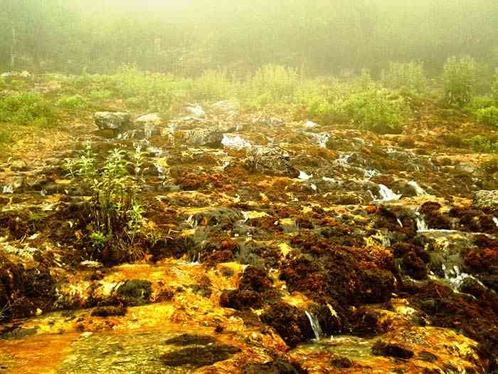 تور یک روزه جنگل ارفع ده و چشمه پراو |هفته اول اردیبهشت| تور یک روزه جنگل ارفع ده و چشمه پراو |هفته اول اردیبهشت|