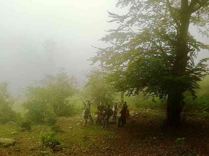 تور یک روزه جنگل ارفع ده و چشمه پراو |هفته دوم اردیبهشت| تور یک روزه جنگل ارفع ده و چشمه پراو |هفته دوم اردیبهشت|