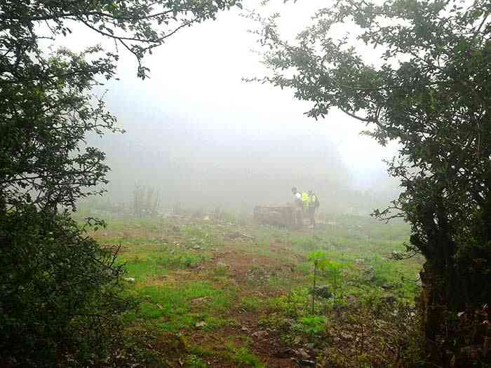 تور یک روزه جنگل ارفع ده و چشمه پراو |هفته سوم تیر| تور یک روزه جنگل ارفع ده و چشمه پراو |هفته سوم تیر|