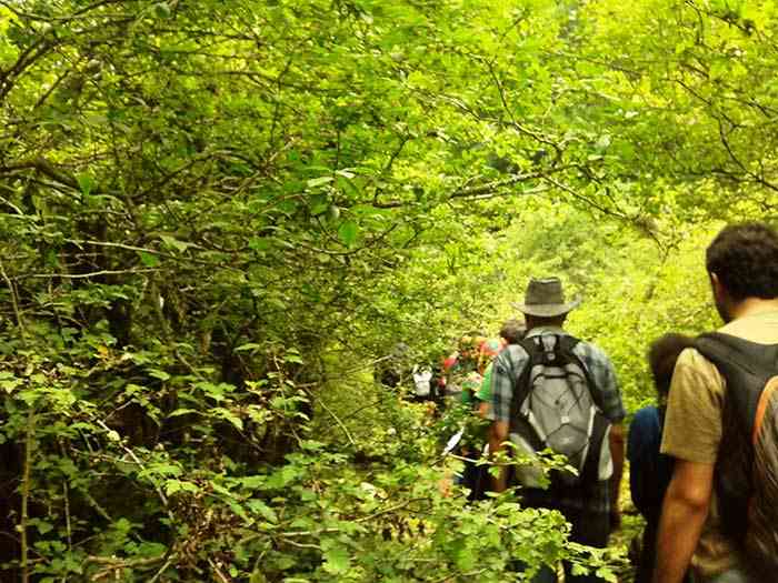 تور یک روزه جنگل ارفع ده و چشمه پراو |این هفته| تور یک روزه جنگل ارفع ده و چشمه پراو |این هفته|