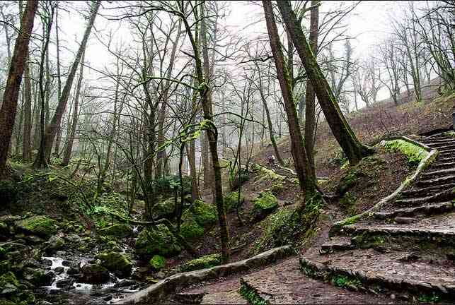 تور یکروزه قلعه رودخان |هفته سوم مهر| تور یکروزه قلعه رودخان |هفته سوم مهر|