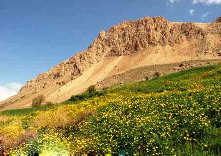 تور یک روزه نوا تا دشت آزو تور یک روزه نوا تا دشت آزو