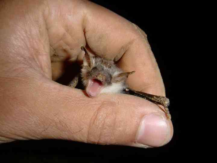 تور غار آبی دانیال |تور تعطیلات مهرماه| تور غار آبی دانیال |تور تعطیلات مهرماه|