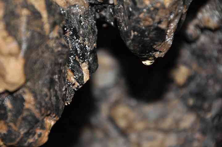 تور یکروزه غار گل زرد |هفته آخر مرداد| تور یکروزه غار گل زرد |هفته آخر مرداد|