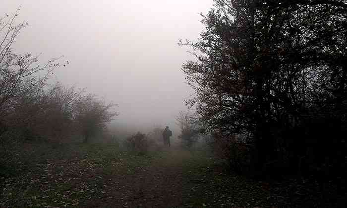 تور یکروزه جنگل الیمستان |هفته دوم شهریور| تور یکروزه جنگل الیمستان |هفته دوم شهریور|