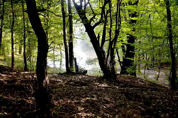 دریاچه چورت و چشمه های باداب سورت |تور تعطیلات عید قربان| دریاچه چورت و چشمه های باداب سورت |تور تعطیلات عید قربان|