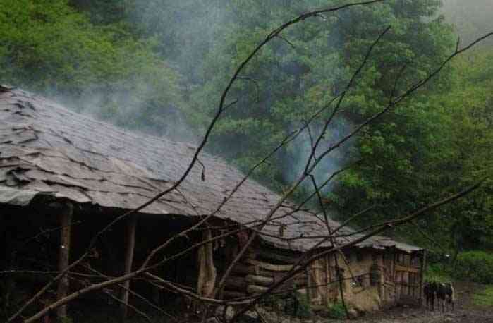 تور یک روزه جنگل های هلیدار |هفته چهارم آبان| تور یک روزه جنگل های هلیدار |هفته چهارم آبان|