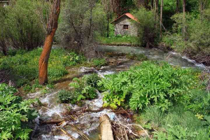 تور یک روزه شهرستانک |تور تعطیلات| تور یک روزه شهرستانک |تور تعطیلات|