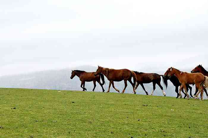 سوباتان و آبشار ورزان |تور تعطیلات عید قربان| سوباتان و آبشار ورزان |تور تعطیلات عید قربان|