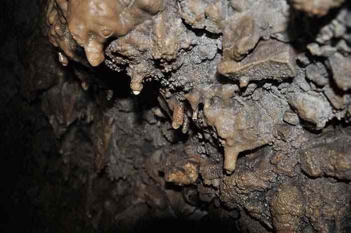 تور یک روزه غار گل زرد |هفته سوم مرداد| تور یک روزه غار گل زرد |هفته سوم مرداد|