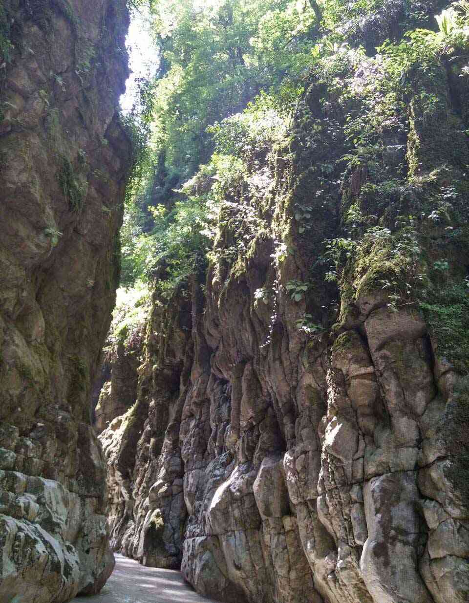 تور رودخانه نوردی گرگرود |هفته چهارم شهریور| تور رودخانه نوردی گرگرود |هفته چهارم شهریور|