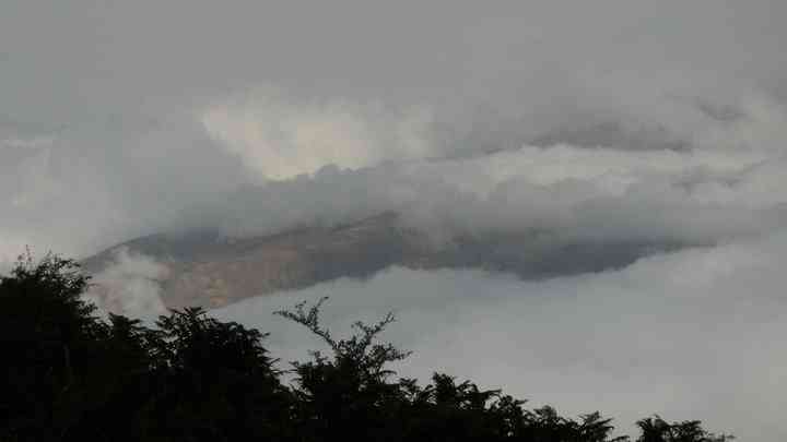 تور یکروزه جنگل الیمستان |هفته چهارم مرداد| تور یکروزه جنگل الیمستان |هفته چهارم مرداد|